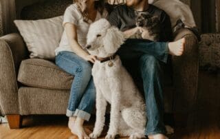 Pet proof